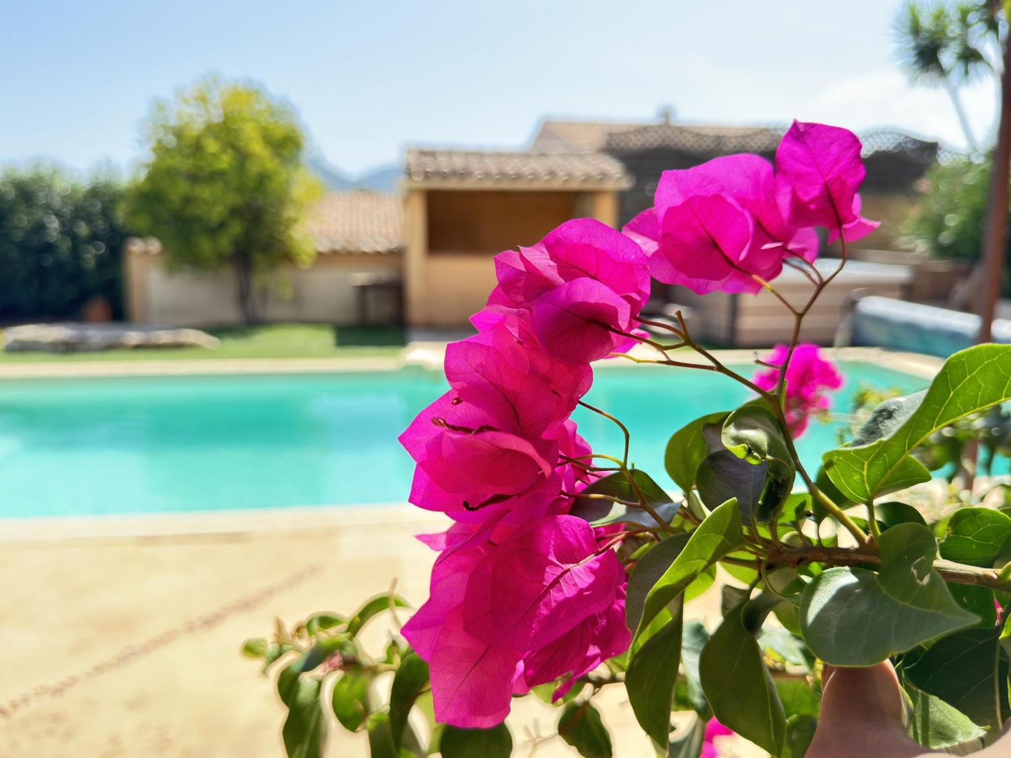 Gîte des Figuiers Roquebrune-sur-Argens Exterior foto